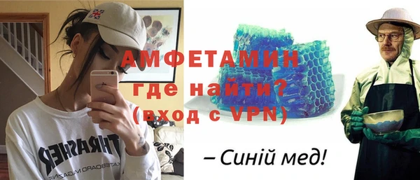 индика Ладушкин