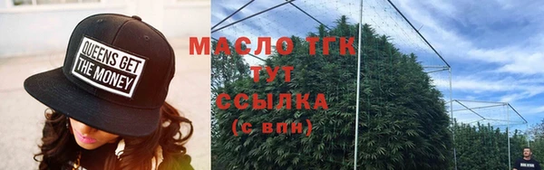 индика Ладушкин