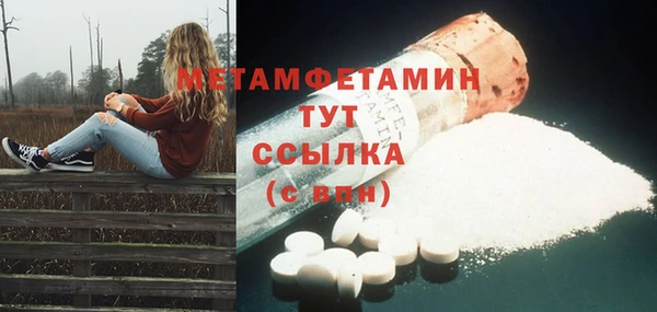 индика Ладушкин