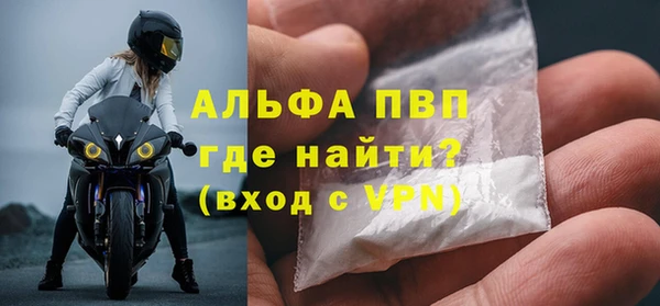индика Ладушкин