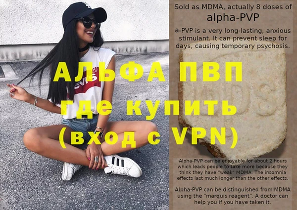 индика Ладушкин