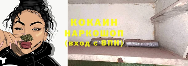 индика Ладушкин