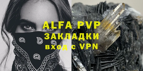 индика Ладушкин