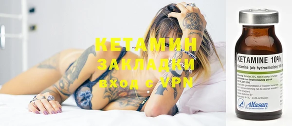 индика Ладушкин