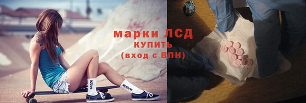индика Ладушкин