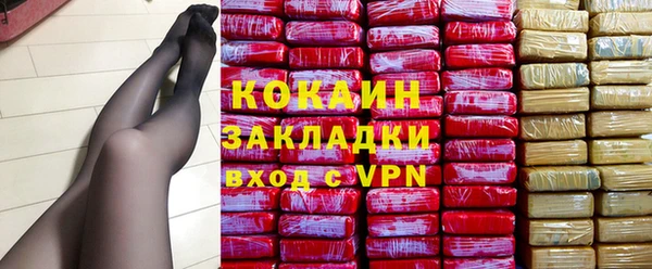 индика Ладушкин