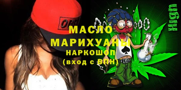индика Ладушкин