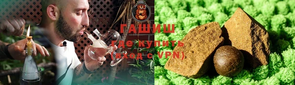 индика Ладушкин