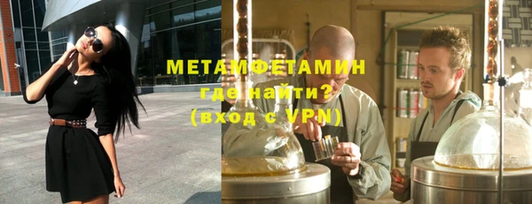 индика Ладушкин
